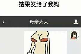 凌海商务调查